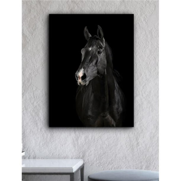 16x16 Horse Craze Tees Happy Adorable Black Horse Side View Throw Pillow Multicolor 